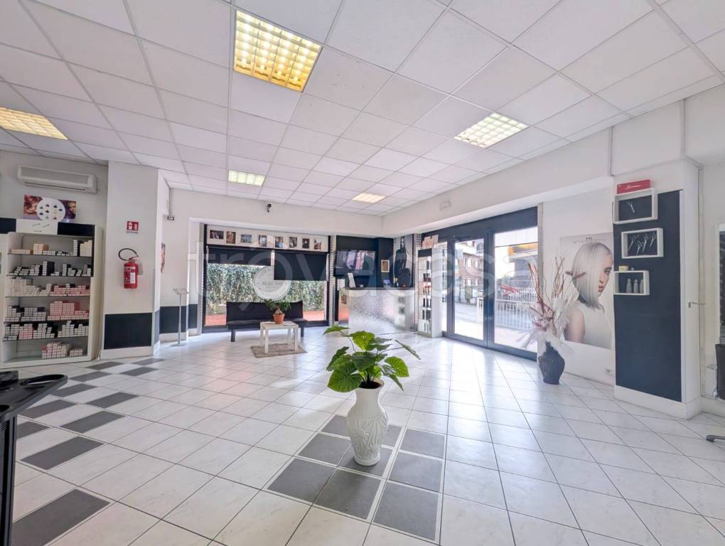 immagine annuncio 6 di 15