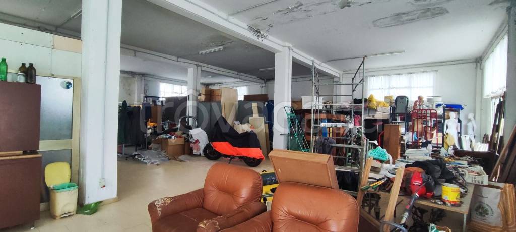 immagine annuncio 9 di 15