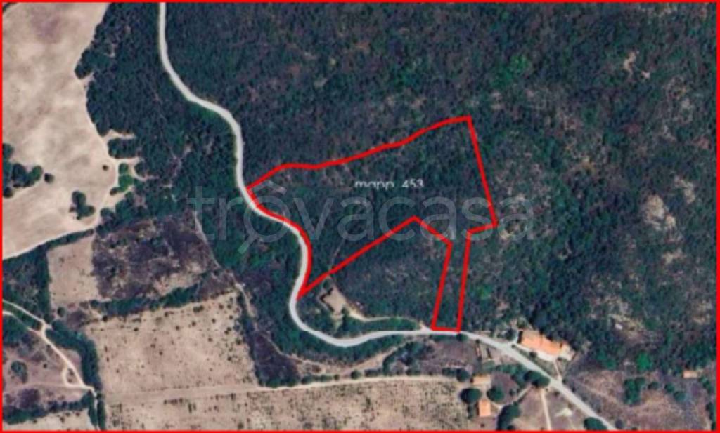 immagine annuncio 10 di 12