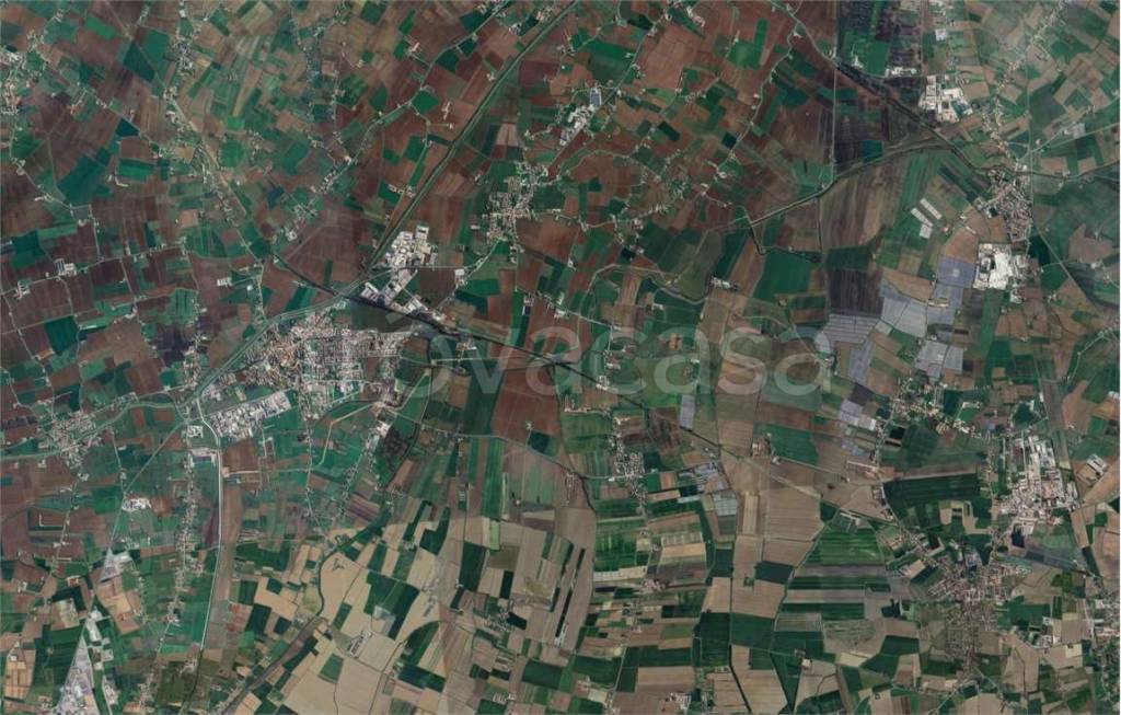 immagine annuncio 12 di 14