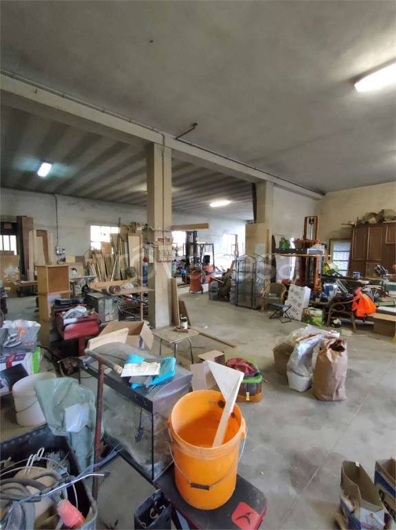 immagine annuncio 11 di 15