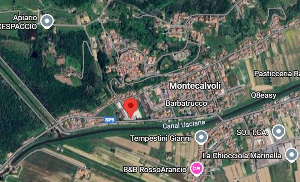 immagine annuncio 2 di 11