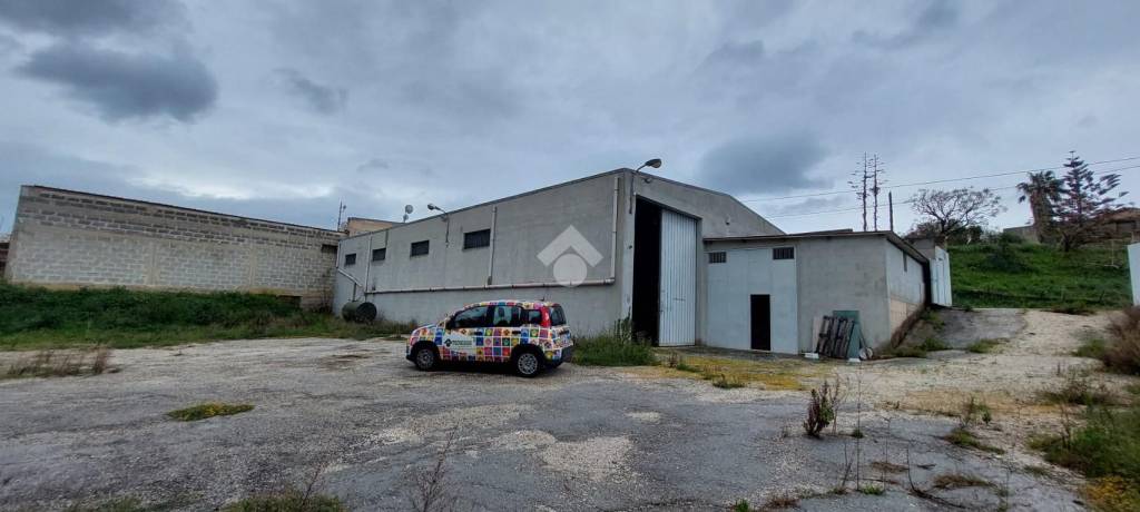 immagine annuncio 10 di 14