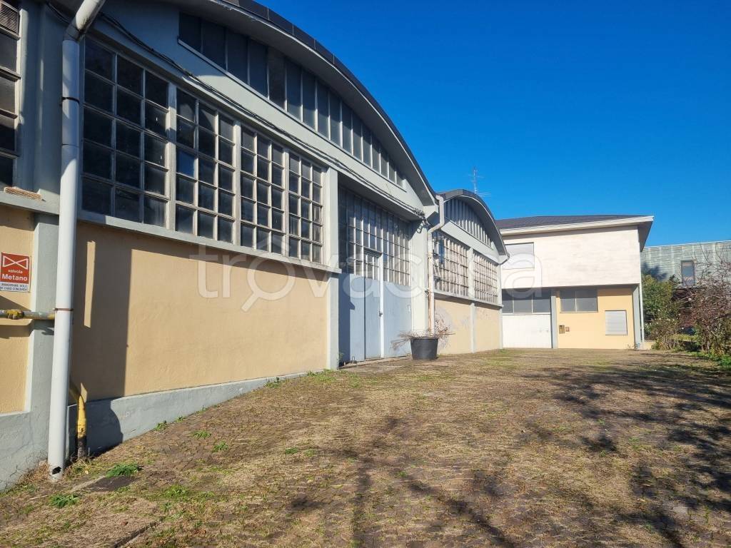 immagine annuncio 4 di 15