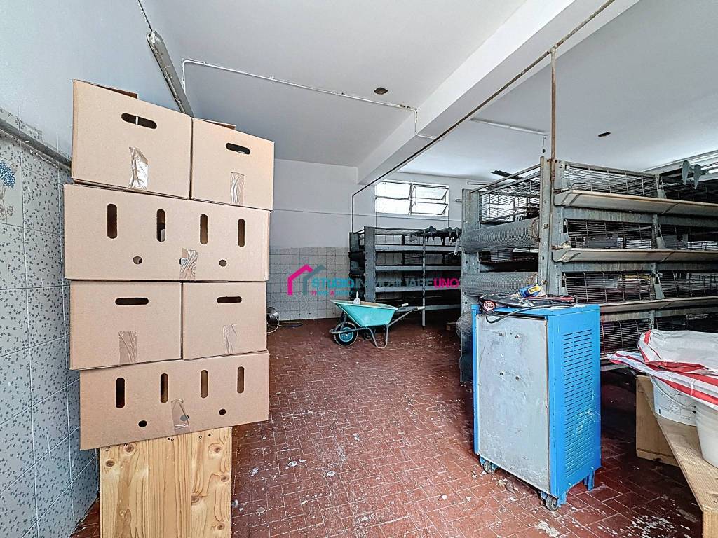 immagine annuncio 9 di 15