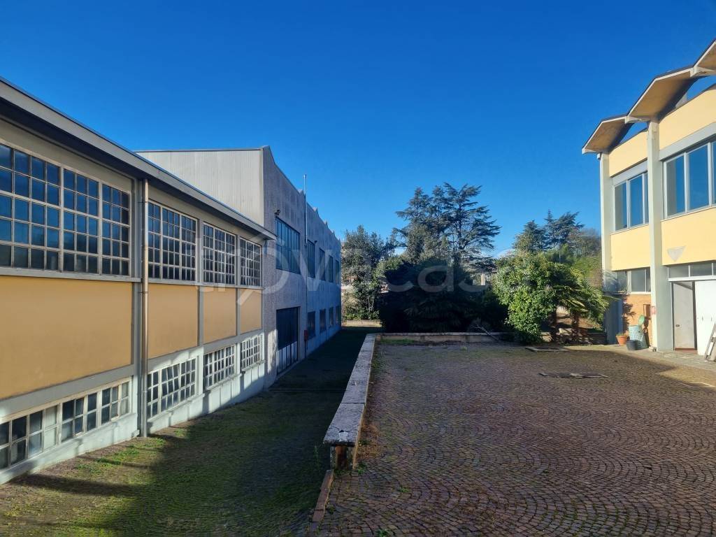 immagine annuncio 6 di 15