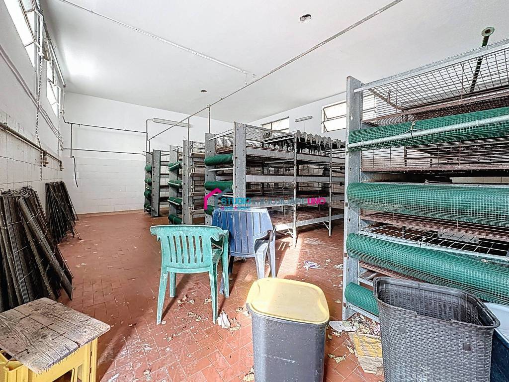 immagine annuncio 10 di 15