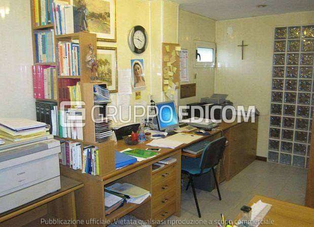 immagine annuncio 2 di 14