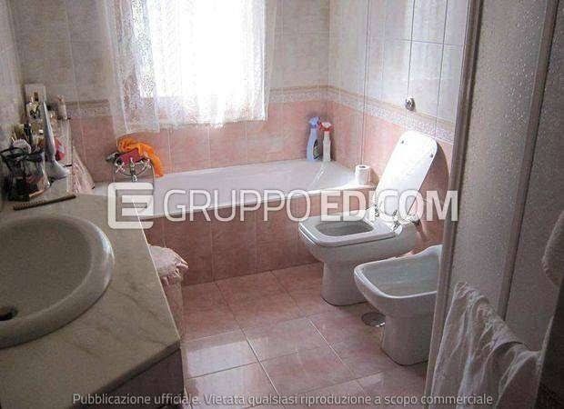 immagine annuncio 3 di 14