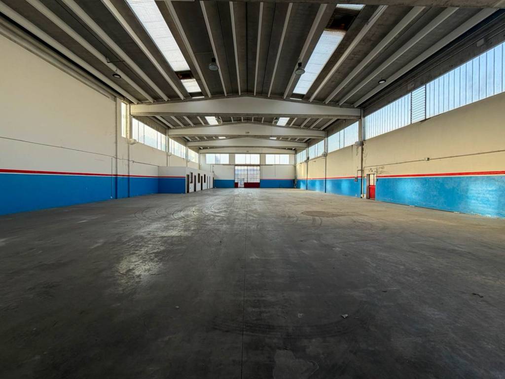 immagine annuncio 2 di 15