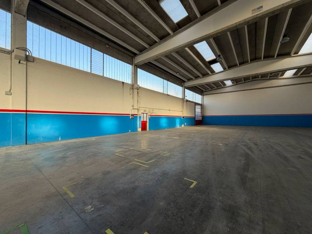 immagine annuncio 12 di 15