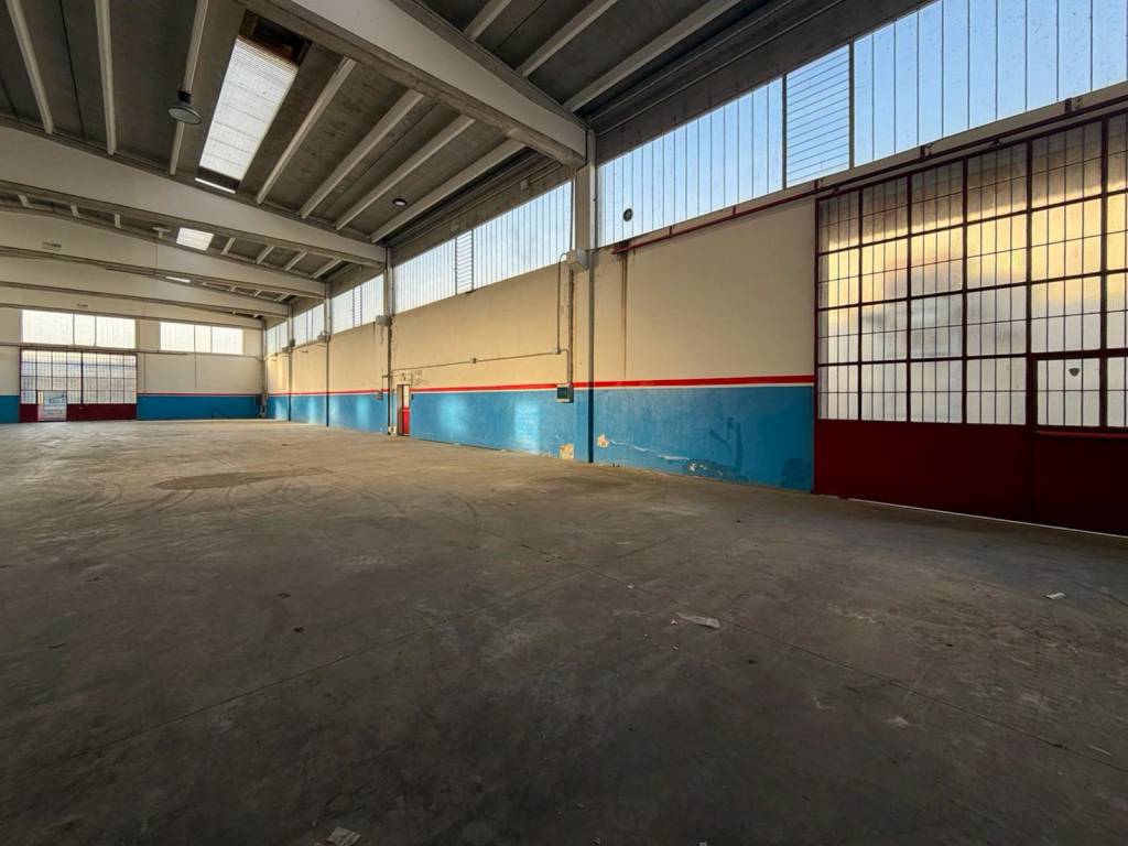 immagine annuncio 14 di 15