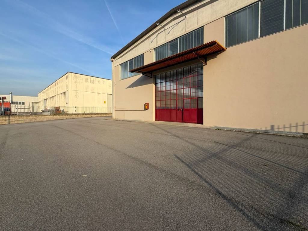 immagine annuncio 11 di 15