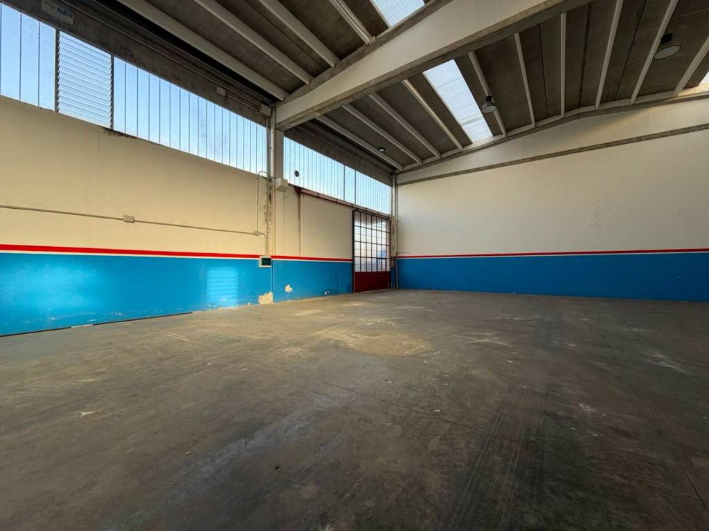 immagine annuncio 3 di 15