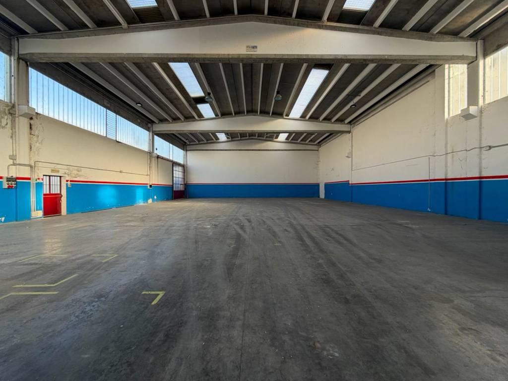 immagine annuncio 8 di 15