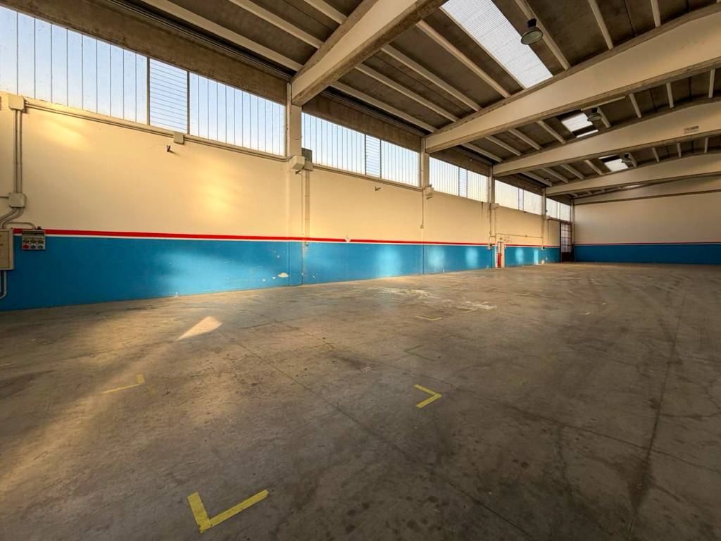 immagine annuncio 5 di 15