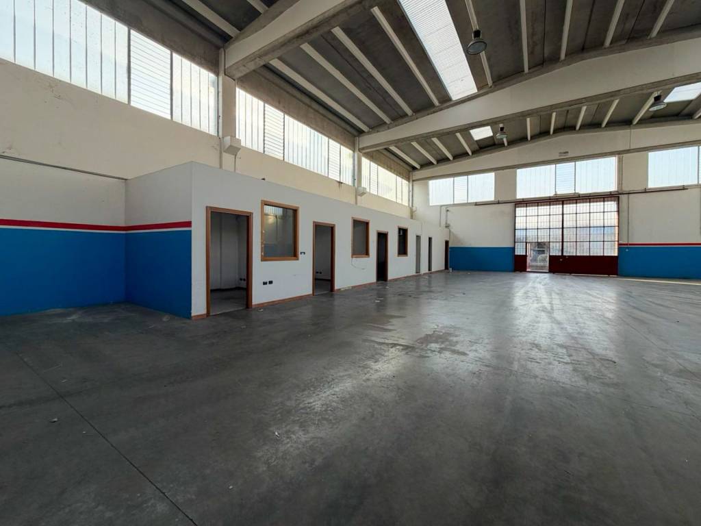 immagine annuncio 9 di 15