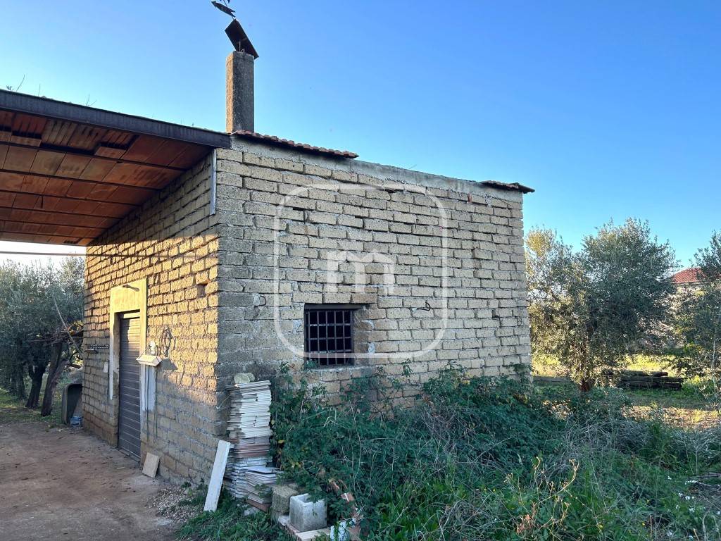 immagine annuncio 1 di 11