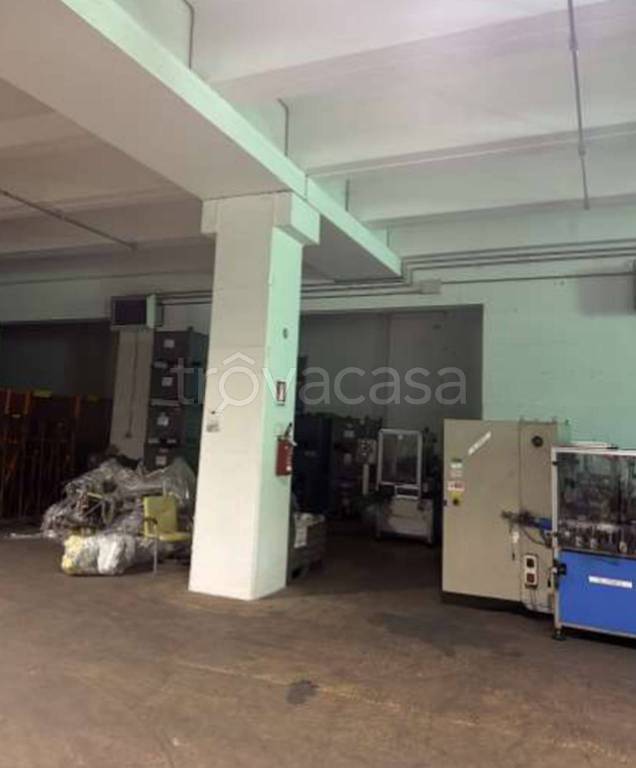 immagine annuncio 3 di 11