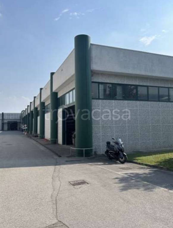 immagine annuncio 7 di 11