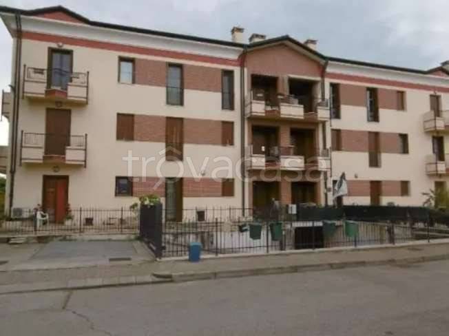 immagine annuncio 2 di 12