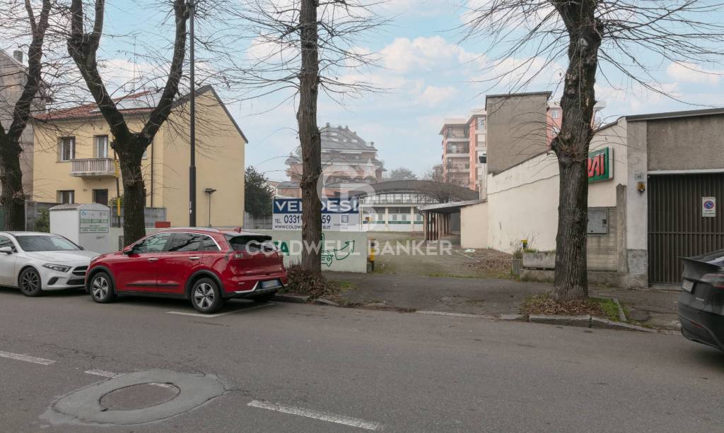 immagine annuncio 1 di 11