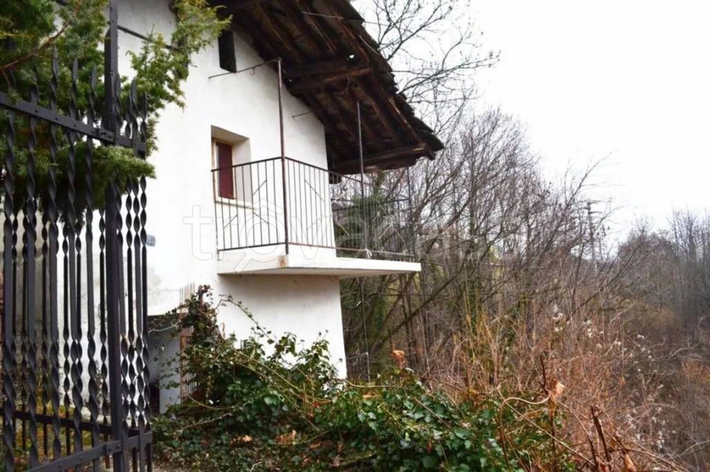 immagine annuncio 12 di 14