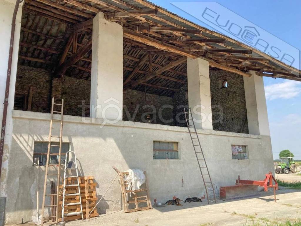 immagine annuncio 11 di 15