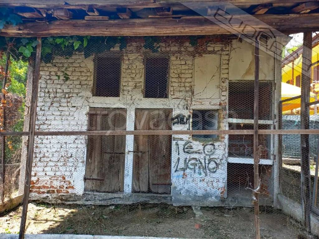 immagine annuncio 2 di 12