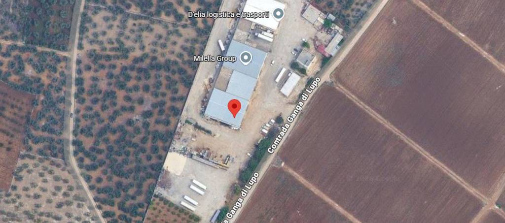 immagine annuncio 1 di 11