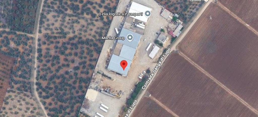 immagine annuncio 1 di 10