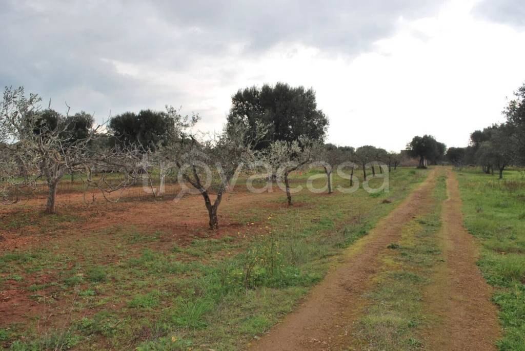 immagine annuncio 7 di 13