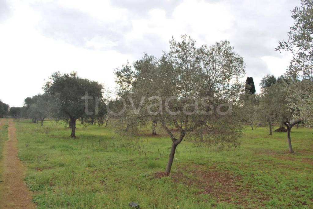 immagine annuncio 8 di 13