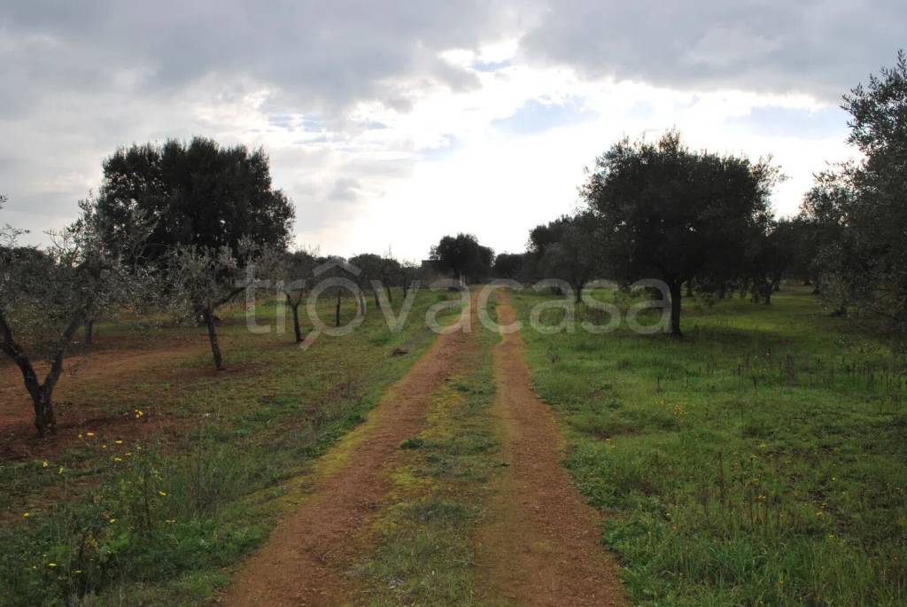 immagine annuncio 9 di 13