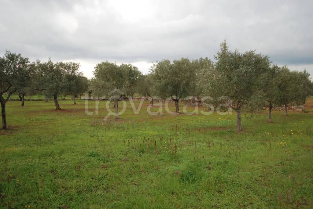 immagine annuncio 11 di 13