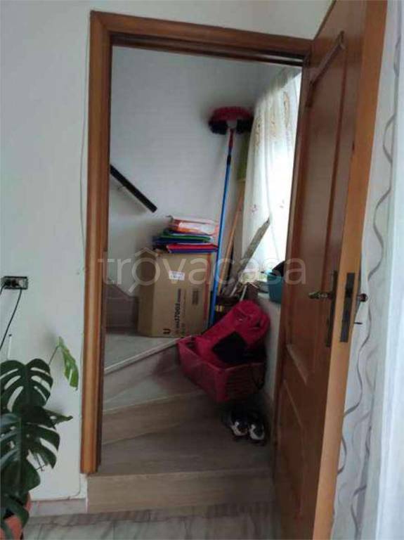 immagine annuncio 5 di 14