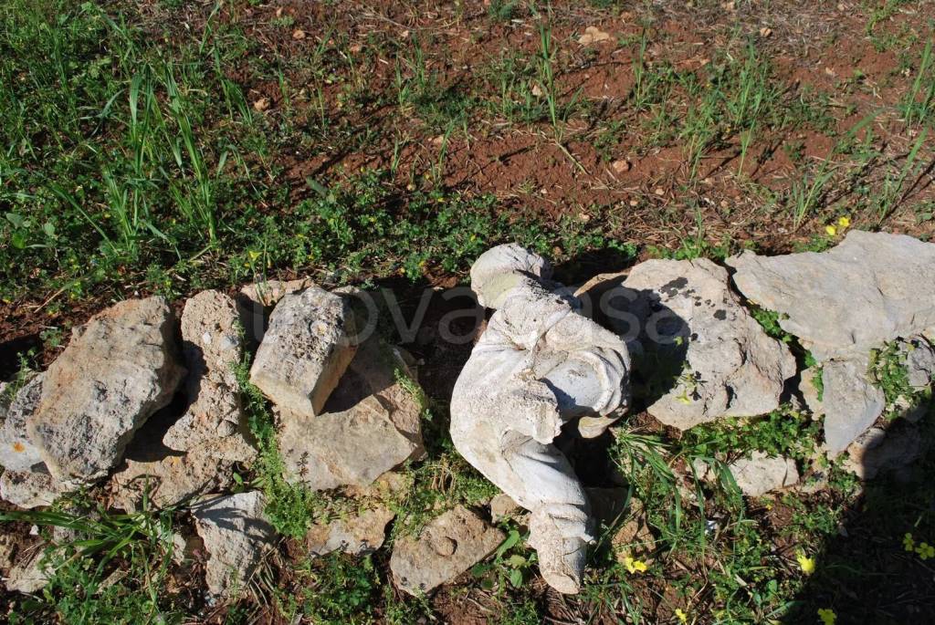 immagine annuncio 10 di 13