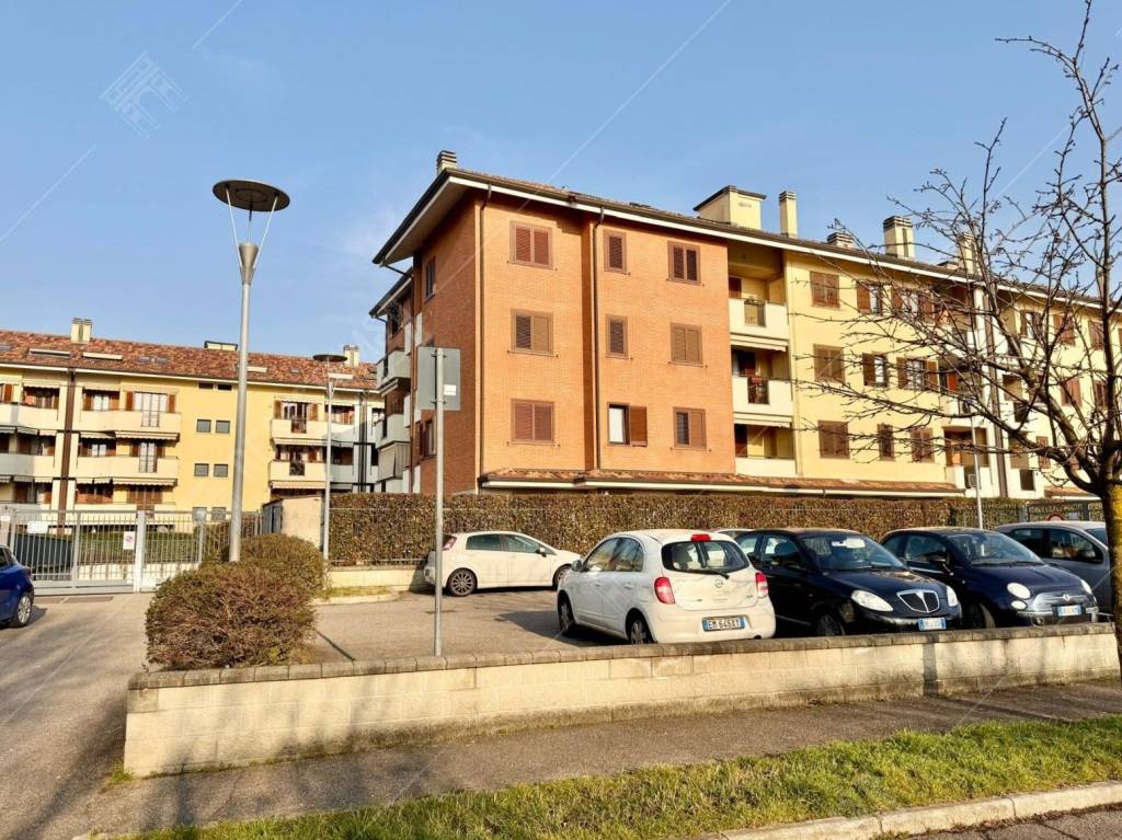 immagine annuncio 14 di 15