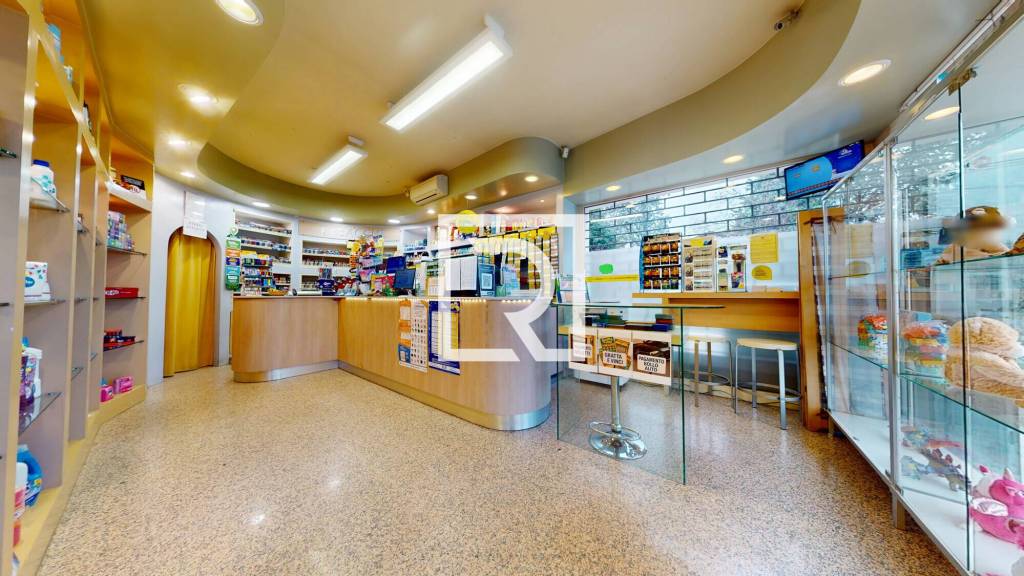 immagine annuncio 2 di 12