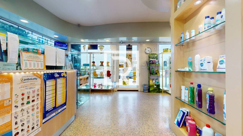 immagine annuncio 5 di 12