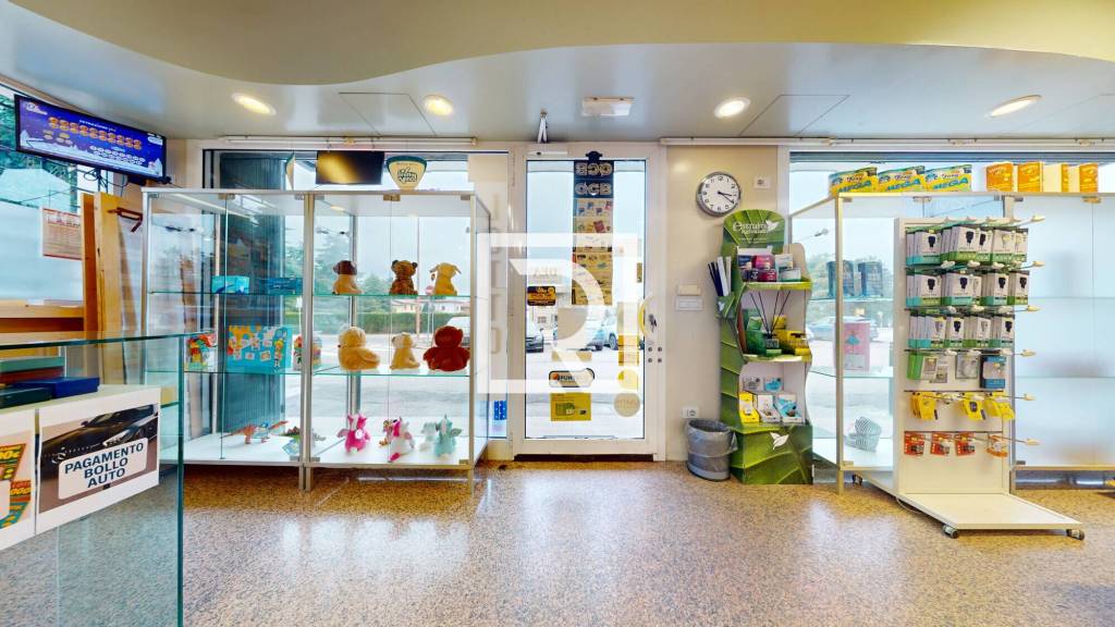 immagine annuncio 7 di 12