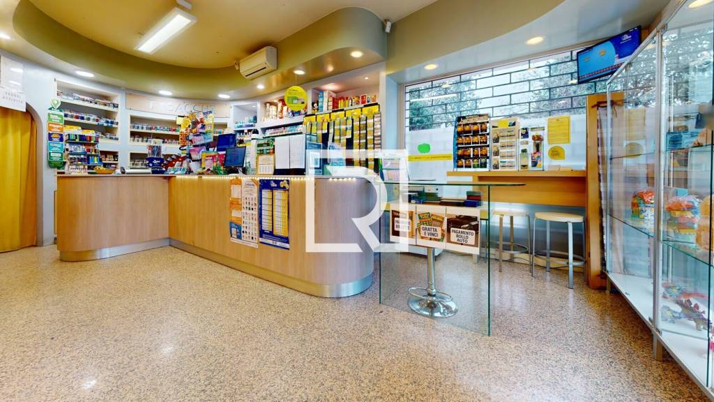 immagine annuncio 9 di 12