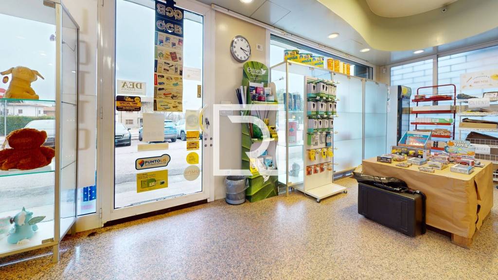 immagine annuncio 10 di 12