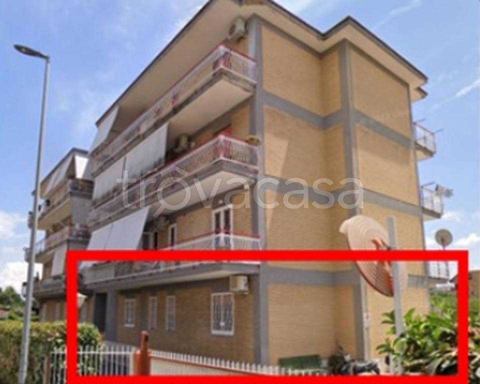 immagine annuncio 10 di 11