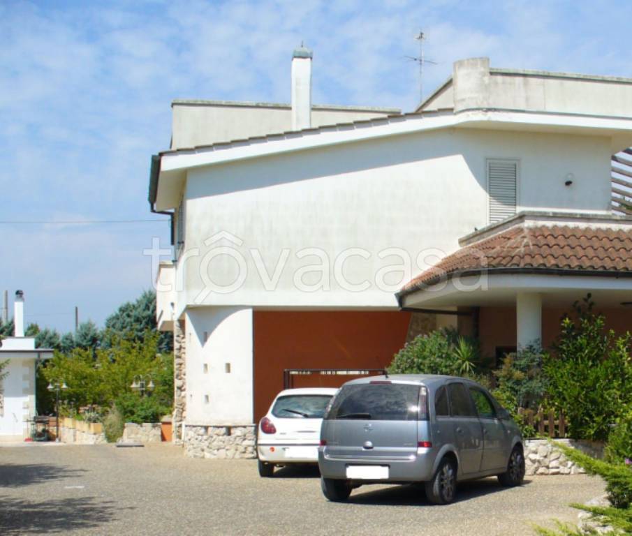 immagine annuncio 6 di 11