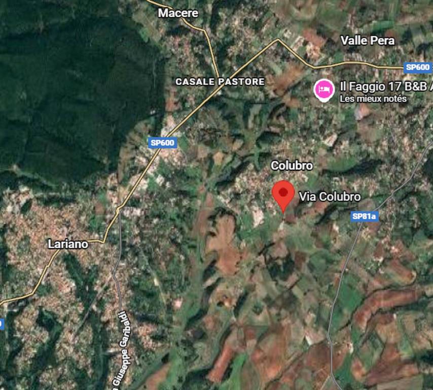 immagine annuncio 1 di 14