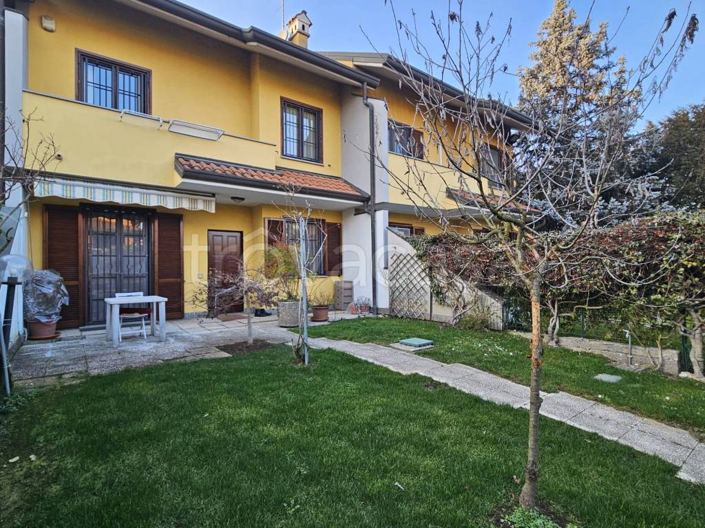 immagine annuncio 1 di 15