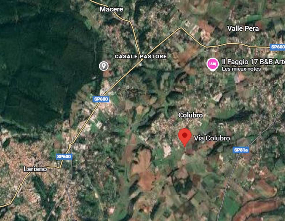 immagine annuncio 2 di 14