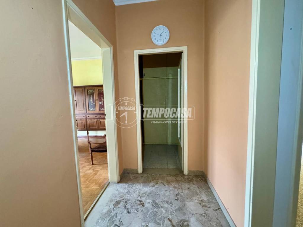 immagine annuncio 4 di 14