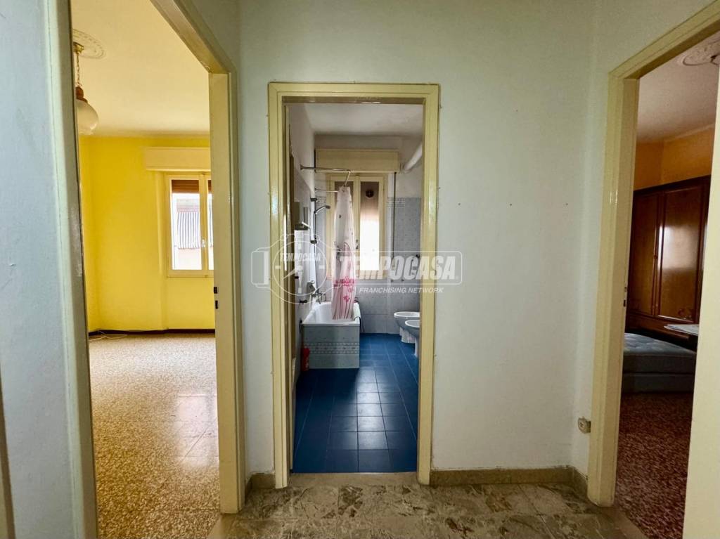 immagine annuncio 5 di 14